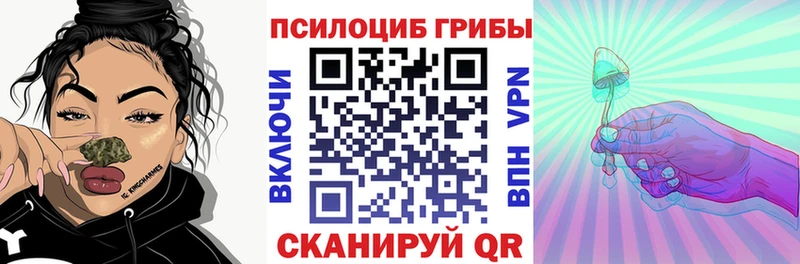 цены наркотик  Сурск  Псилоцибиновые грибы Psilocybe 